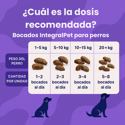 Probiótico Integral Pet™️ | FORMULA DESARROLLADA 100% Natural  | Producto #1 en el mercado. (shrine)