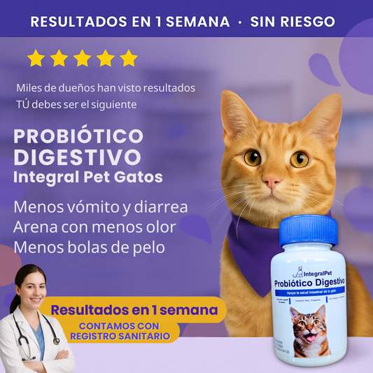 Probiótico IntegralPet™️ Gatos | Suplemento Natural 3 en 1 | Registro sanitario ✅