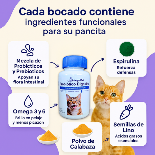 Probiótico IntegralPet™️ Gatos | Suplemento Natural 3 en 1 | Registro sanitario ✅